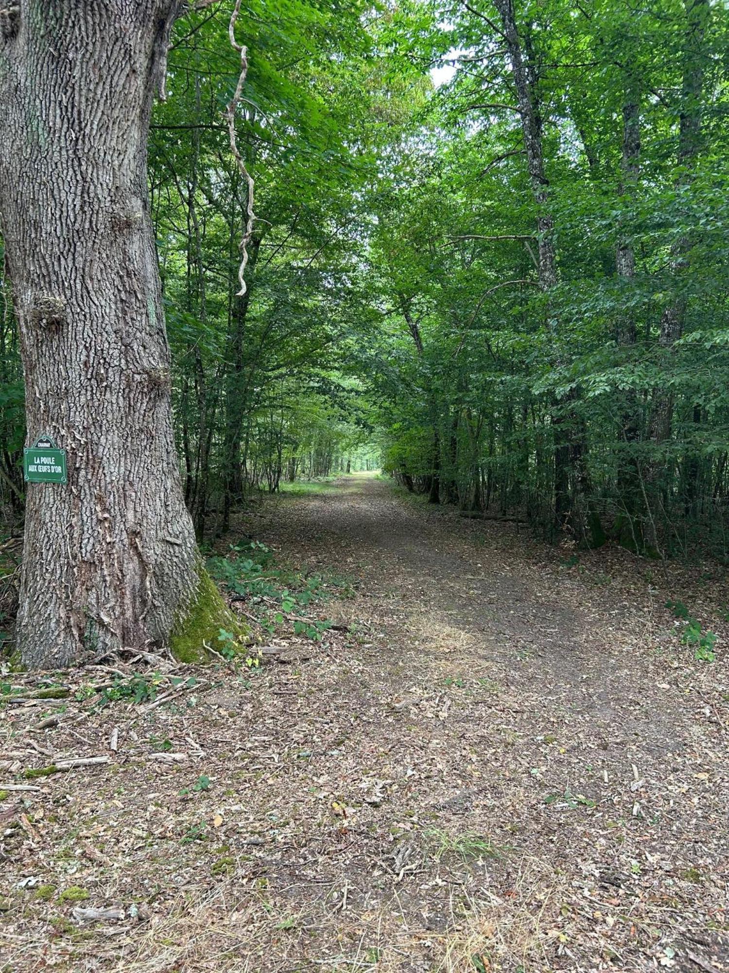 Domaine De Charnay - Charme Et Confort Dans Un Environnement D'Exception Вьерзон Экстерьер фото