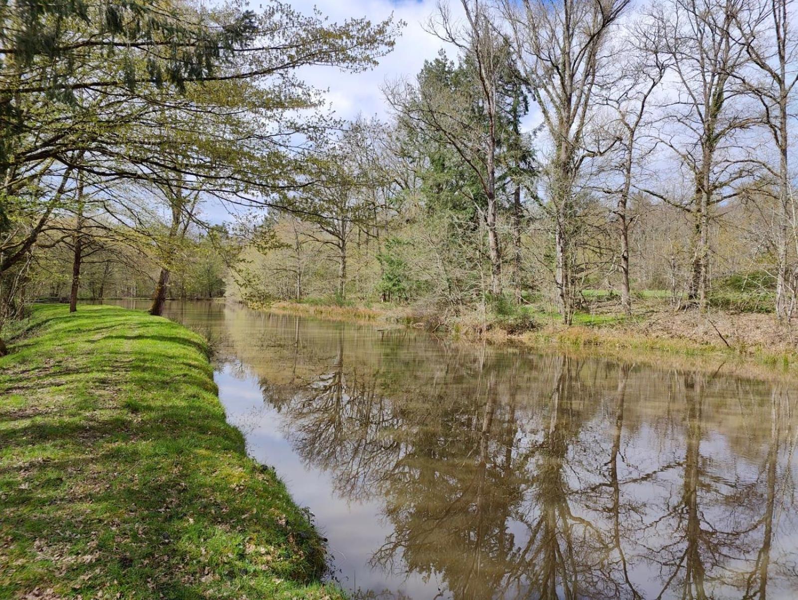 Domaine De Charnay - Charme Et Confort Dans Un Environnement D'Exception Вьерзон Экстерьер фото