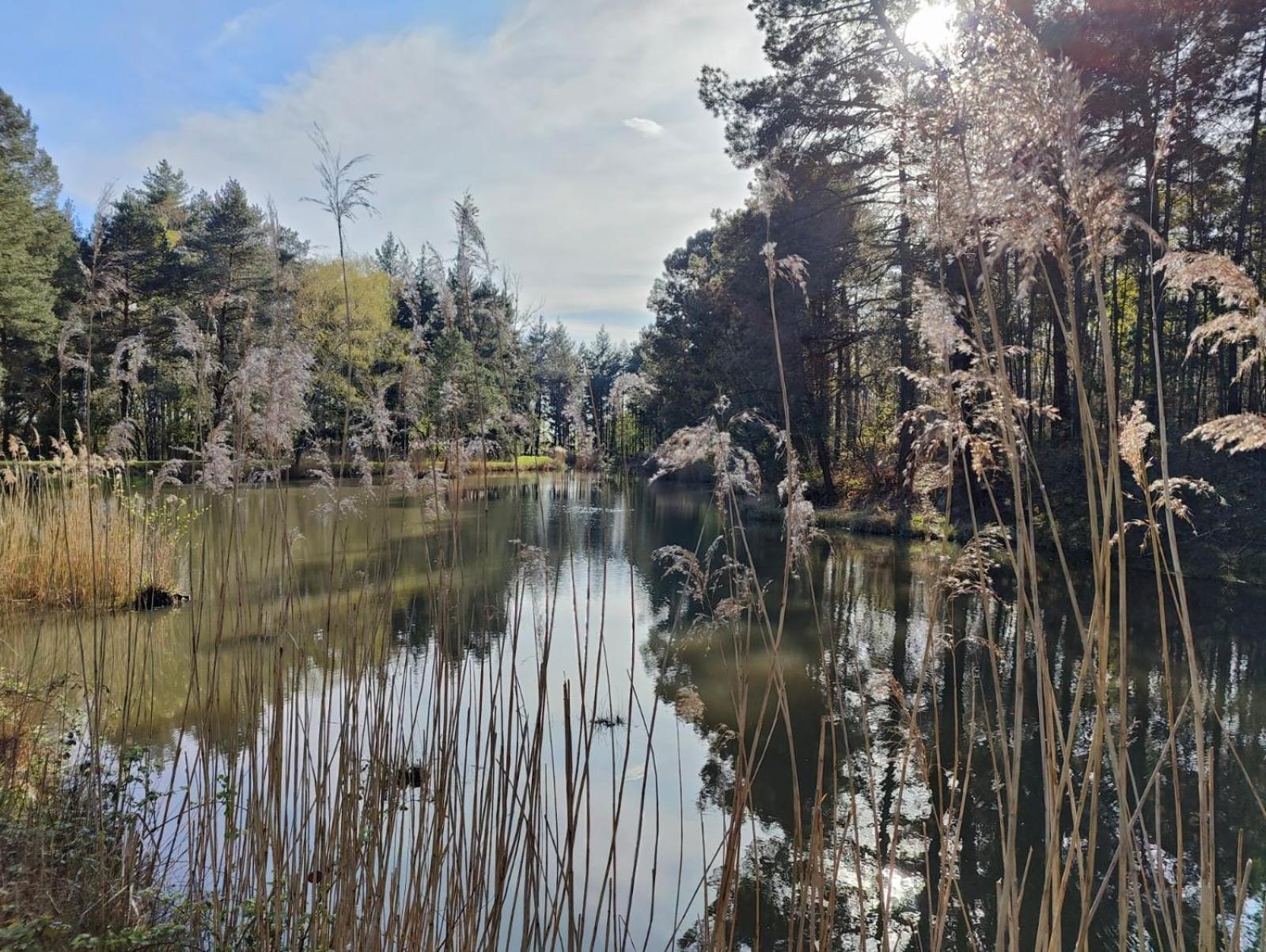 Domaine De Charnay - Charme Et Confort Dans Un Environnement D'Exception Вьерзон Экстерьер фото