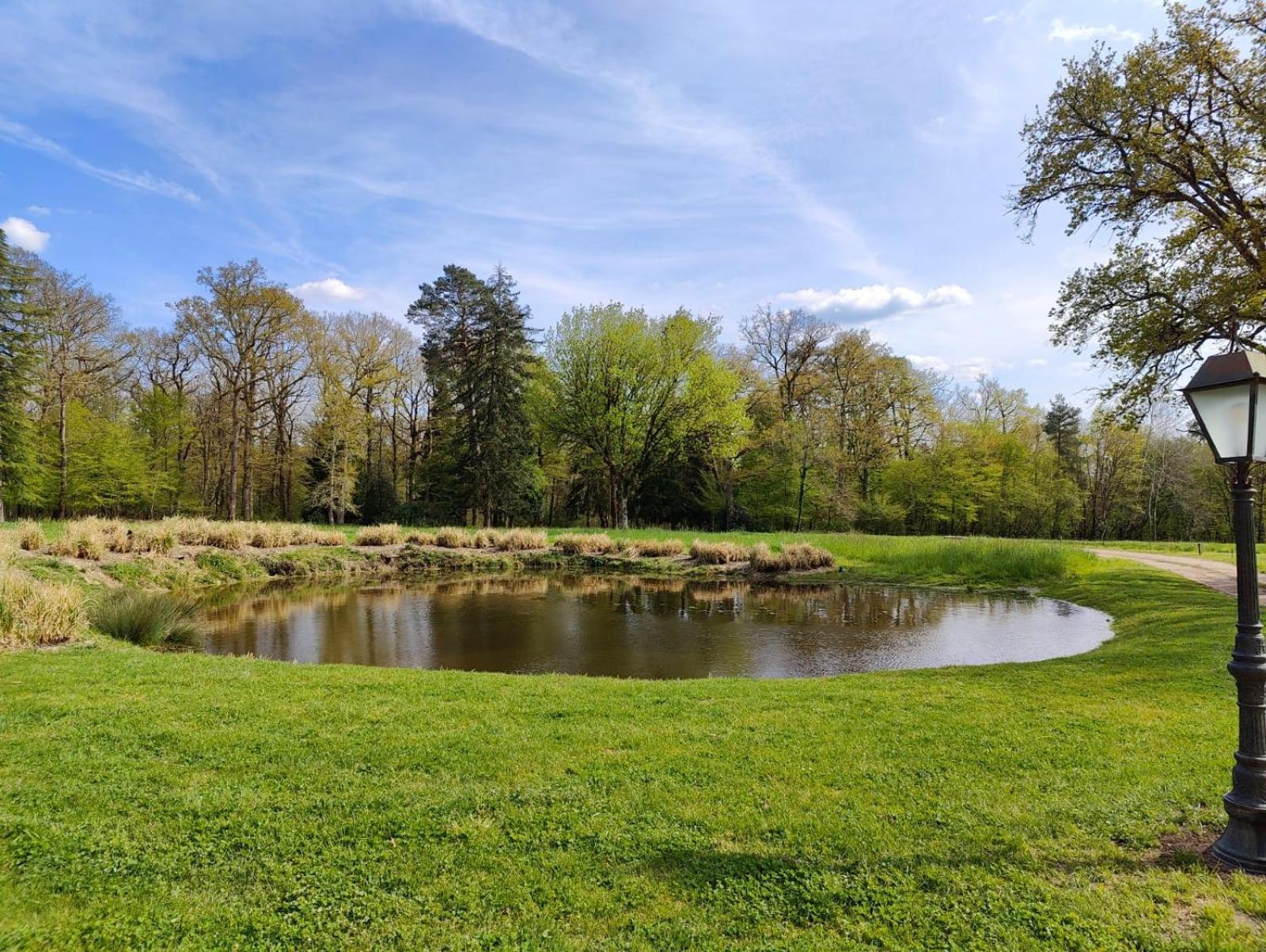 Domaine De Charnay - Charme Et Confort Dans Un Environnement D'Exception Вьерзон Экстерьер фото